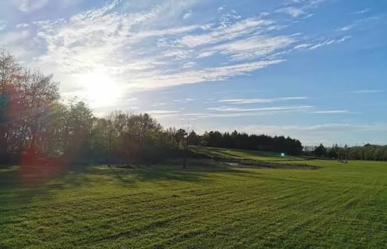 Evening light across the fairway